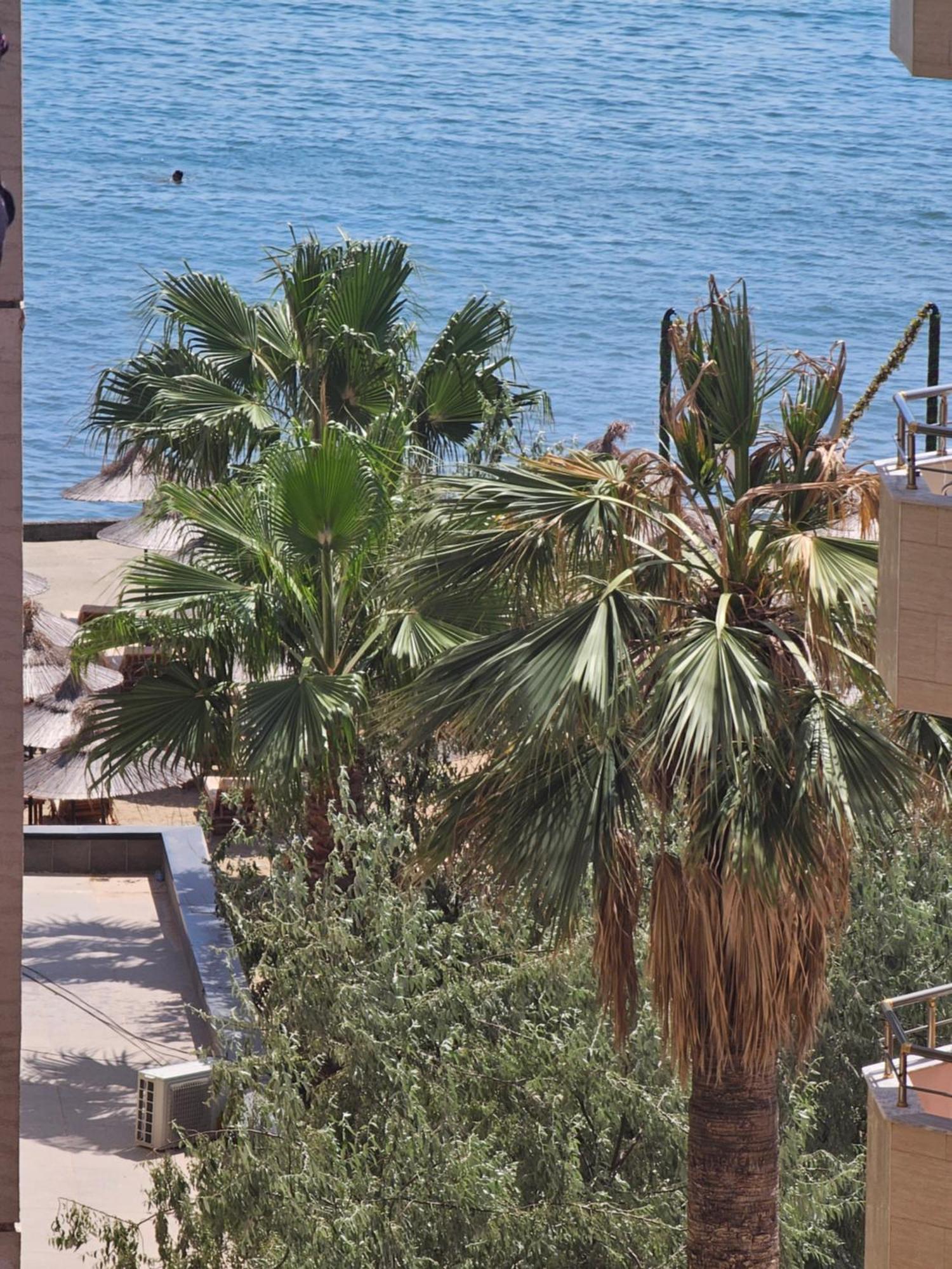Bral 5 - Beachfront Durrës
